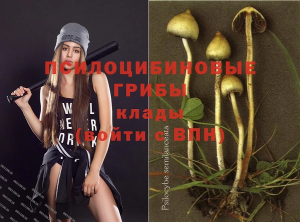 не бодяженный Алзамай
