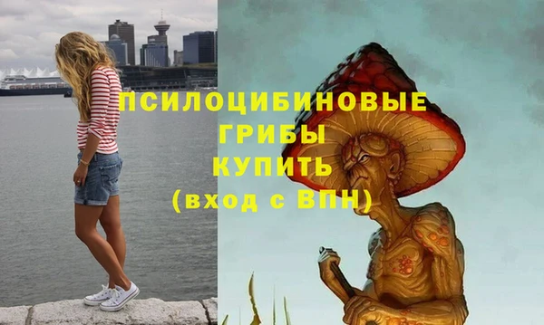 не бодяженный Алзамай