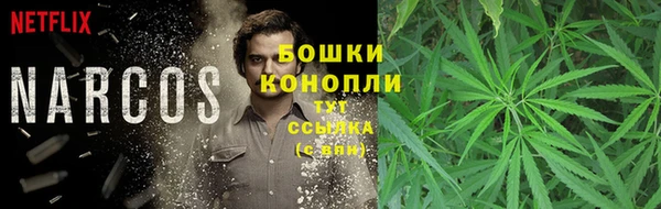 не бодяженный Алзамай