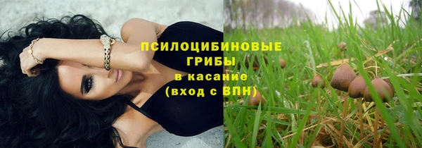 не бодяженный Алзамай